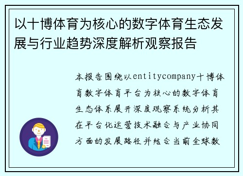 以十博体育为核心的数字体育生态发展与行业趋势深度解析观察报告